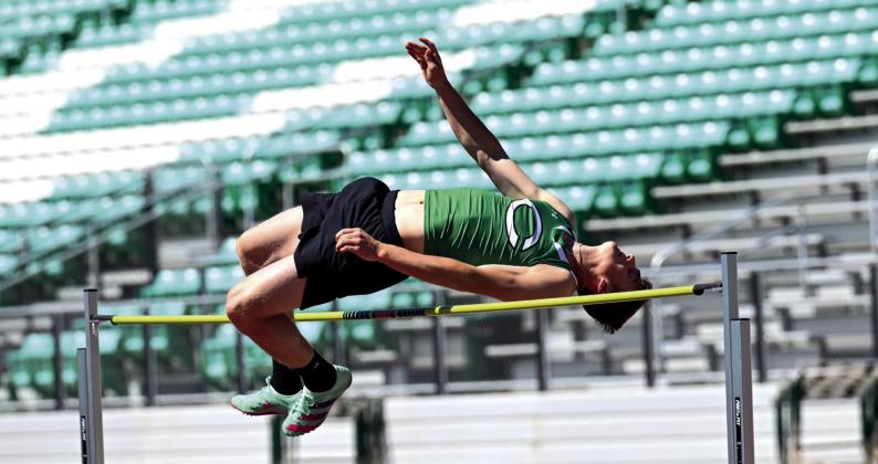 David Leinen clears the bar to advance to the area track meet.